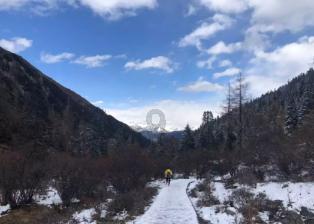 请问一下，280kw变频器多少钱一台？最 好是厂家直销省去中间环节划算些游戏画面