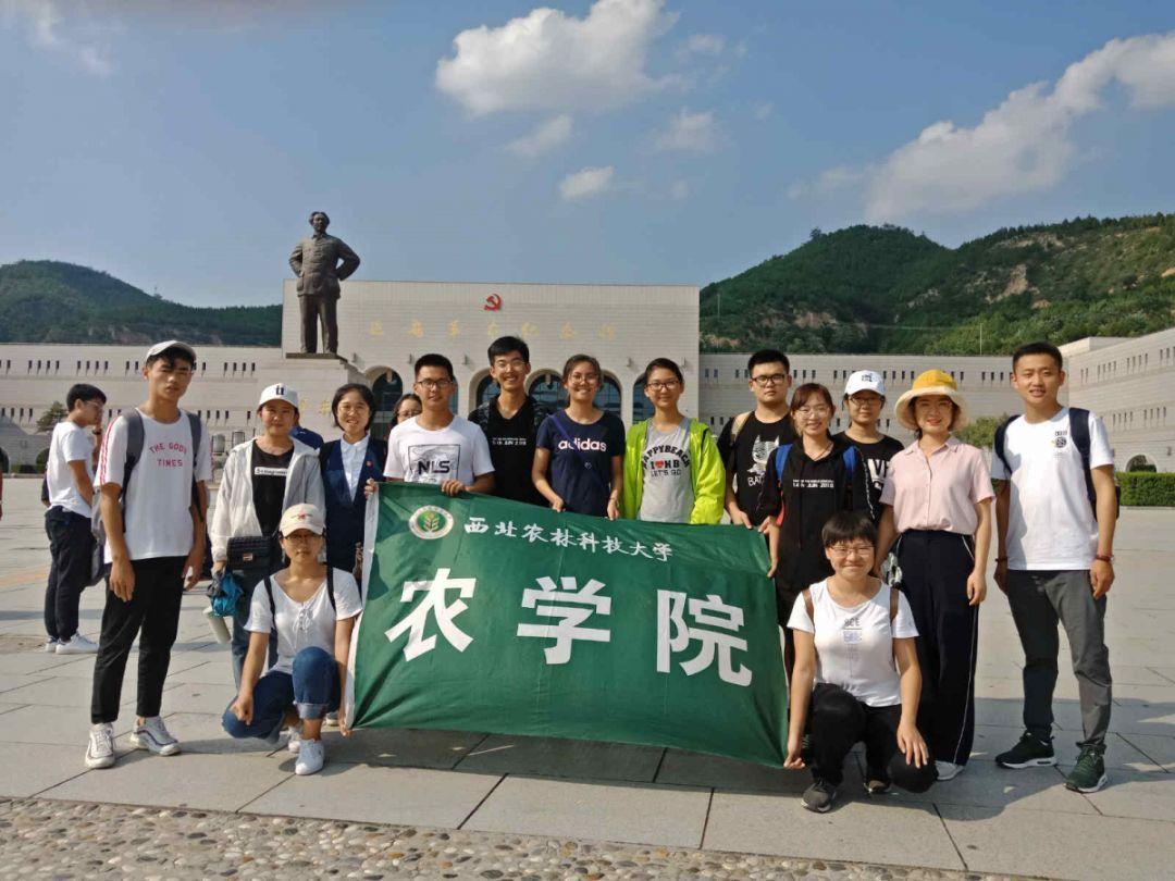 阿根廷国内动荡不止 米莱“阿根廷重建”计划阻力重重