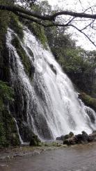 湖北赤壁护林员覃修良：四十载守护青山绿水