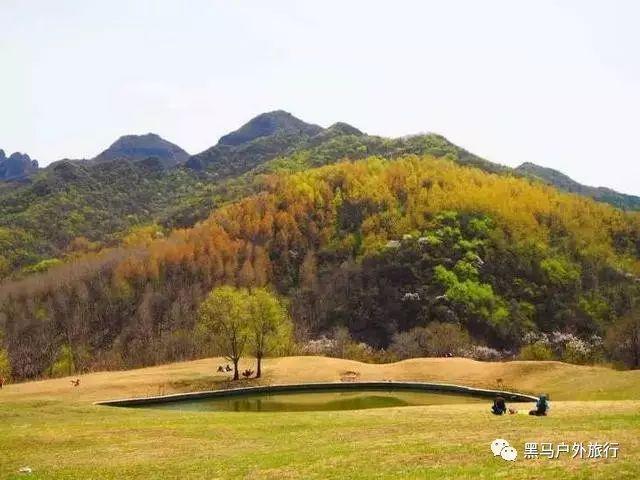 彩丽公主日常装扮