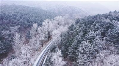 伟大时代：中世纪